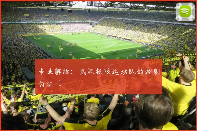 专业解读：武汉极限运动队的控制打法_1