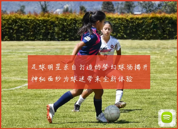 足球明星亲自打造的梦幻球场揭开神秘面纱为球迷带来全新体验