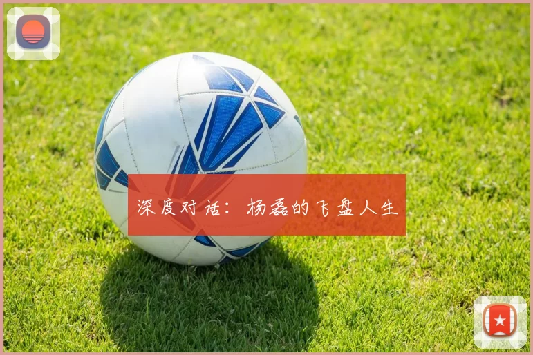 深度对话：杨磊的飞盘人生