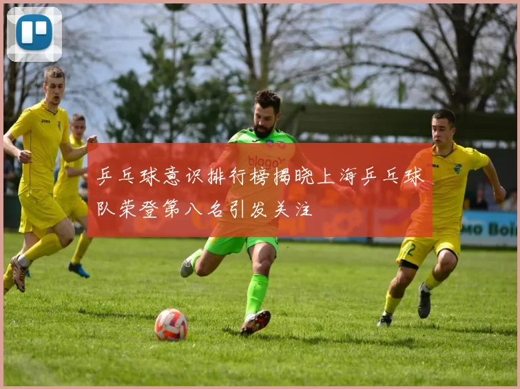 乒乓球意识排行榜揭晓上海乒乓球队荣登第八名引发关注