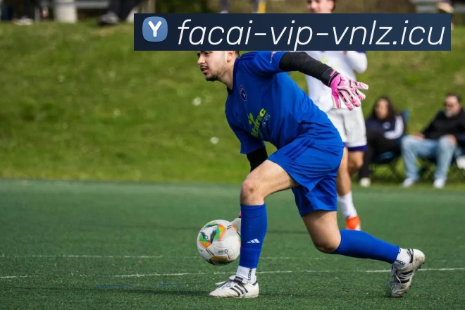 九游体育平台生态图