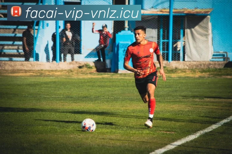 九游体育APP 封面图